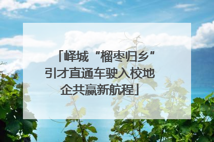 峄城“榴枣归乡”引才直通车驶入校地企共赢新航程