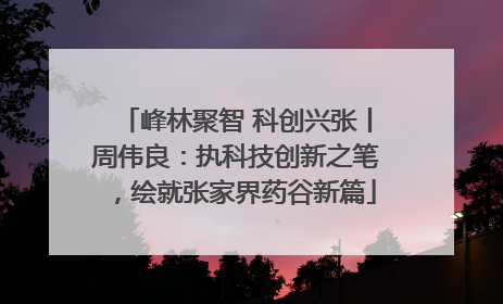 峰林聚智 科创兴张丨周伟良：执科技创新之笔，绘就张家界药谷新篇