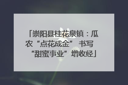 崇阳县桂花泉镇：瓜农“点花成金” 书写“甜蜜事业”增收经