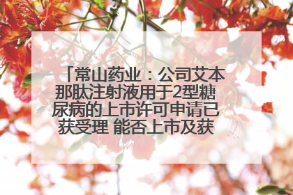 常山药业：公司艾本那肽注射液用于2型糖尿病的上市许可申请已获受理 能否上市及获批时间存在不确定性