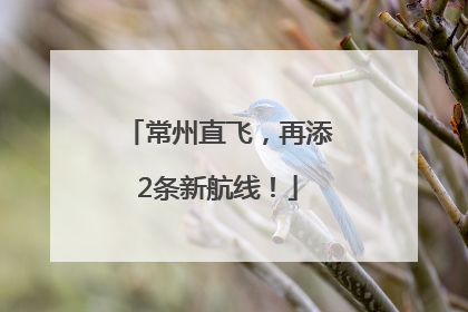 常州直飞，再添2条新航线！