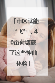 市区就能“飞”，40亩荷塘藏了这些神仙体验