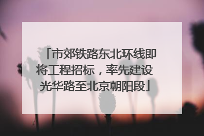 市郊铁路东北环线即将工程招标，率先建设光华路至北京朝阳段