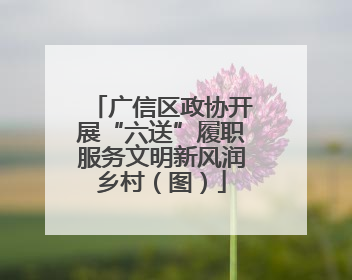 广信区政协开展“六送”履职服务文明新风润乡村（图）