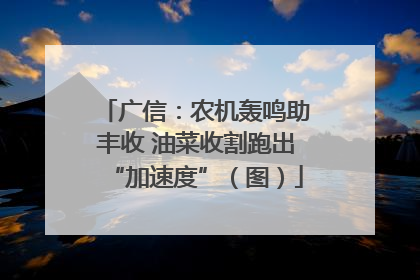 广信：农机轰鸣助丰收 油菜收割跑出“加速度”（图）