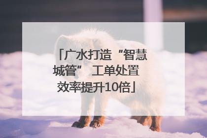 广水打造“智慧城管” 工单处置效率提升10倍