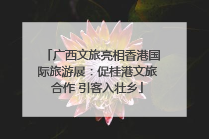 广西文旅亮相香港国际旅游展：促桂港文旅合作 引客入壮乡