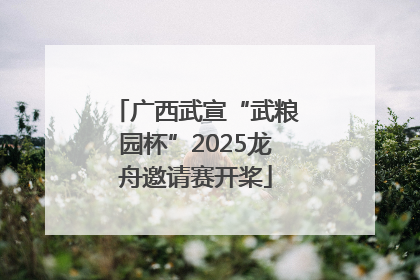 广西武宣“武粮园杯”2025龙舟邀请赛开桨