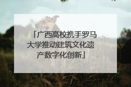 广西高校携手罗马大学推动建筑文化遗产数字化创新