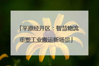 平原经开区：智慧物流重塑工业搬运新场景