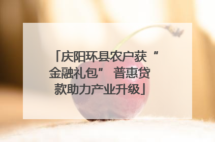 庆阳环县农户获“金融礼包” 普惠贷款助力产业升级
