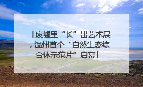 废墟里“长”出艺术展，温州首个“自然生态综合体示范片”启幕