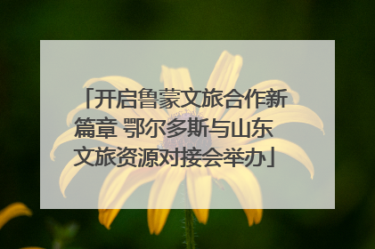 开启鲁蒙文旅合作新篇章 鄂尔多斯与山东文旅资源对接会举办