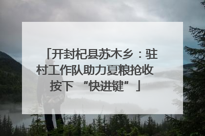 开封杞县苏木乡：驻村工作队助力夏粮抢收按下 “快进键”