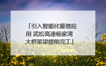 引入智能化管理应用 武松高速杨家湾大桥架梁提前完工