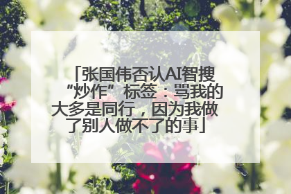 张国伟否认AI智搜“炒作”标签：骂我的大多是同行，因为我做了别人做不了的事