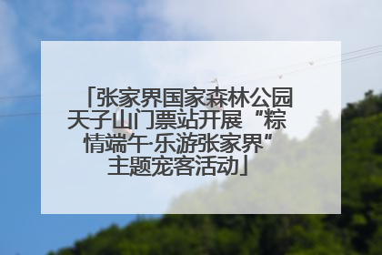 张家界国家森林公园天子山门票站开展“粽情端午·乐游张家界”主题宠客活动