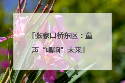 张家口桥东区：童声“唱响”未来