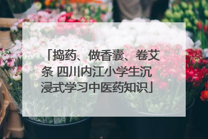 捣药、做香囊、卷艾条 四川内江小学生沉浸式学习中医药知识