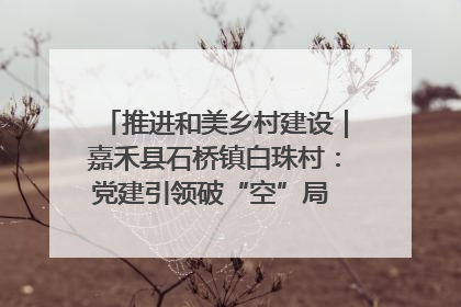 推进和美乡村建设｜嘉禾县石桥镇白珠村：党建引领破“空”局 乡贤聚力绘就新图景