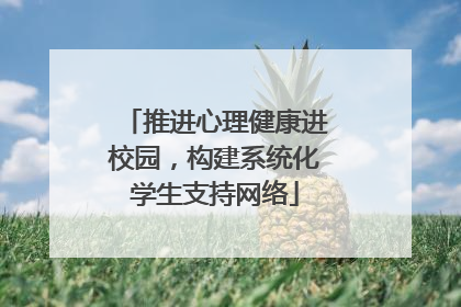 推进心理健康进校园，构建系统化学生支持网络