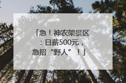 急！神农架景区：日薪500元，急招“野人”！