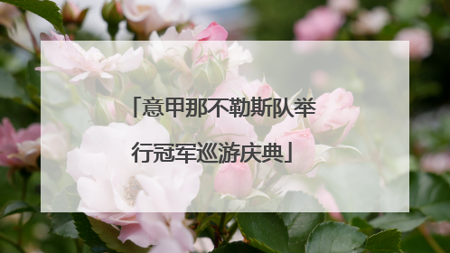 意甲那不勒斯队举行冠军巡游庆典