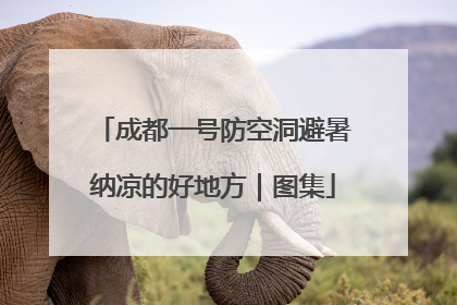 成都一号防空洞避暑纳凉的好地方｜图集