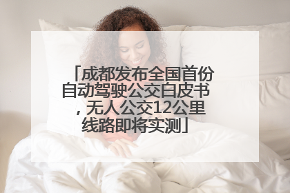 成都发布全国首份自动驾驶公交白皮书，无人公交12公里线路即将实测