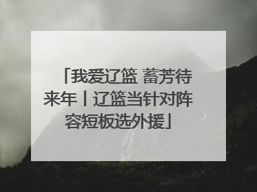 我爱辽篮 蓄芳待来年丨辽篮当针对阵容短板选外援