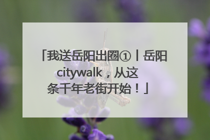 我送岳阳出圈①丨岳阳citywalk，从这条千年老街开始！