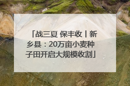 战三夏 保丰收丨新乡县：20万亩小麦种子田开启大规模收割