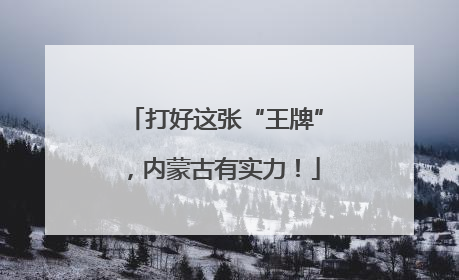 打好这张“王牌”，内蒙古有实力！