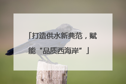 打造供水新典范，赋能“品质西海岸”