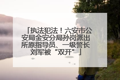执法犯法！六安市公安局金安分局孙岗派出所原指导员、一级警长刘军被“双开”