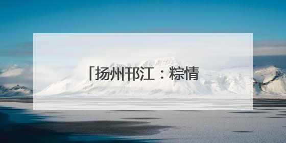 扬州邗江：粽情端午 爱满东兴