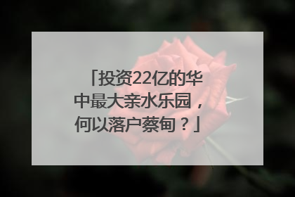 投资22亿的华中最大亲水乐园，何以落户蔡甸？