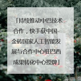 持续推动中巴技术合作，快手获中国-金砖国家人工智能发展与合作中心驻巴西成果转化中心授牌