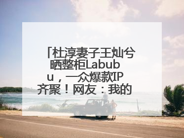 杜淳妻子王灿兮晒整柜Labubu，一众爆款IP齐聚！网友：我的 “梦中情柜”