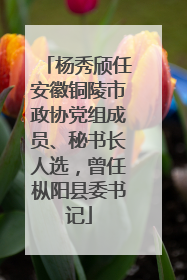 杨秀颀任安徽铜陵市政协党组成员、秘书长人选，曾任枞阳县委书记