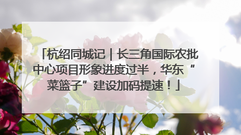 杭绍同城记｜长三角国际农批中心项目形象进度过半，华东“菜篮子”建设加码提速！