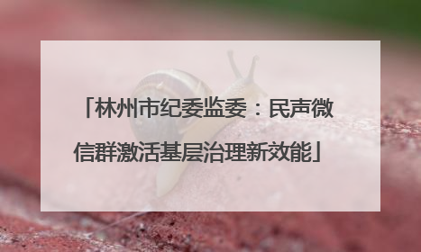 林州市纪委监委：民声微信群激活基层治理新效能