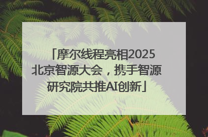 摩尔线程亮相2025北京智源大会，携手智源研究院共推AI创新
