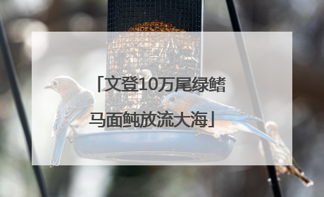 文登10万尾绿鳍马面鲀放流大海