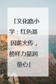 文化路小学：红色基因薪火传，榜样力量润童心