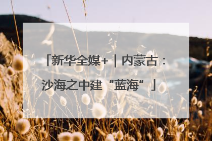 新华全媒+｜内蒙古：沙海之中建“蓝海”