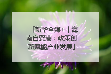 新华全媒+｜海南自贸港：政策创新赋能产业发展