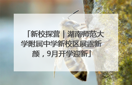 新校探营｜湖南师范大学附属中学新校区展露新颜，9月开学迎新