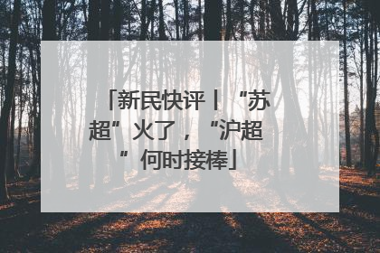 新民快评丨“苏超”火了，“沪超”何时接棒