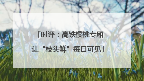 时评：高铁樱桃专厢 让“枝头鲜”每日可见